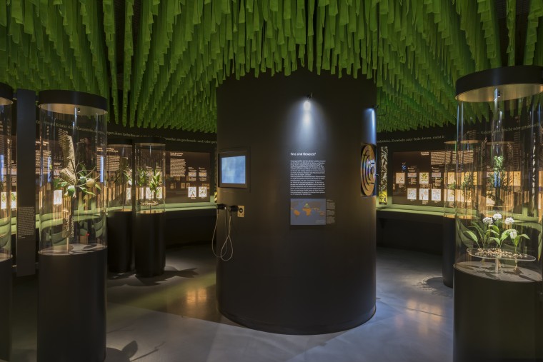 Botanikum | &copy; Museen im M&ouml;nchshof